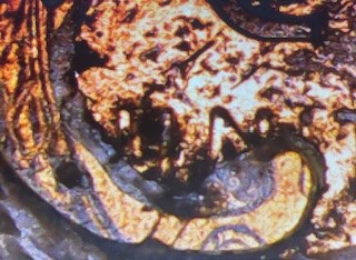 1952-D-Wheat-Penny---Not-Sure---PMD?