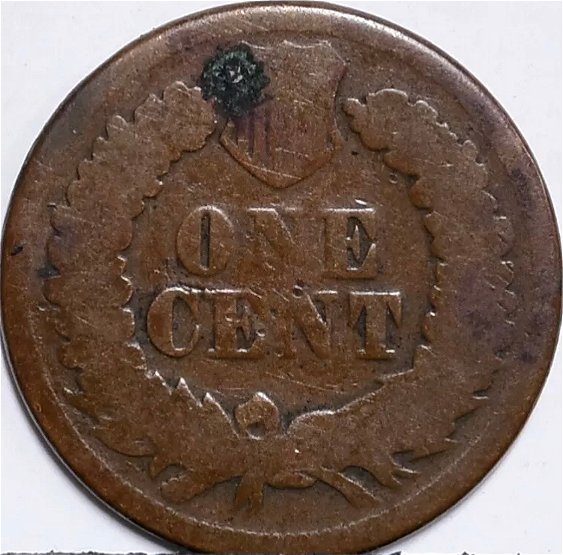 1877-Indian-Head-Penny.-Thoughts?