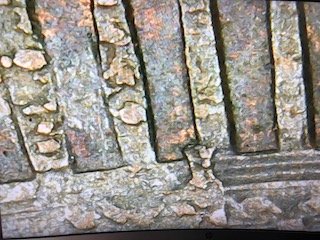 1999-Penny-What-Type-Error-Is-This?-Need-Help