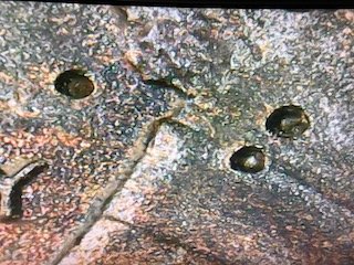 2007-Penny-Multiple-Holes-On-Front-And-Back-Error-Or-Damage?