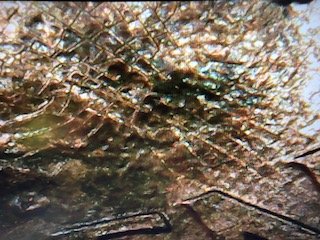 2005-One-Cent-Missing-Face-Help!