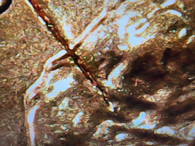 2013-One-Cent-Damaged