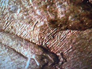 1986-One-Cent---Help