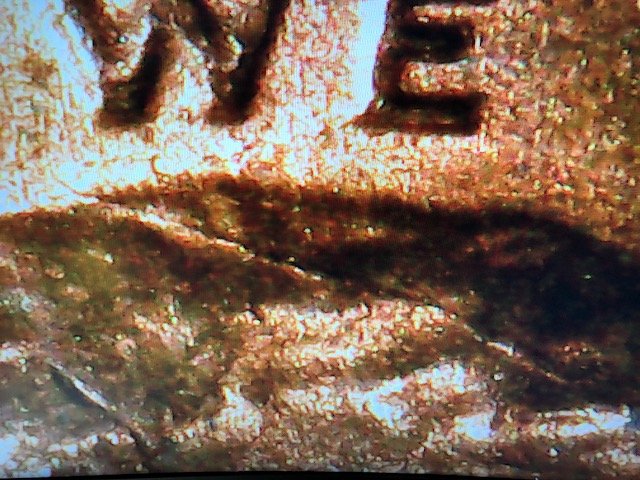 1982-D-One-Cent-Small-Date?