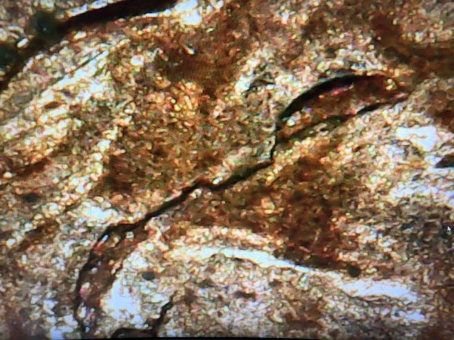 1996-One-Cent-W/-Die-Chip-And-Die-Cracks