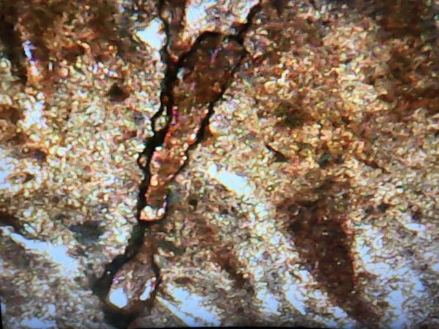 1996-One-Cent-W/-Die-Chip-And-Die-Cracks