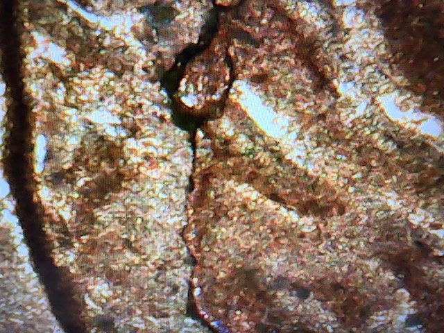 1996-One-Cent-W/-Die-Chip-And-Die-Cracks