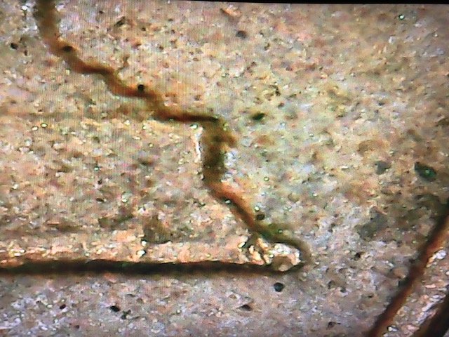 1969-D-One-Cent-Missing-FG.