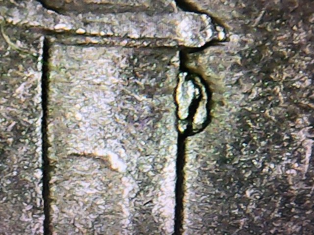 2000-P-Nickel-Die-Chip