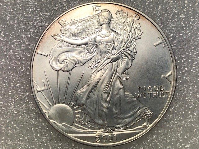 2001-American-Silver-Eagle-For-Grading