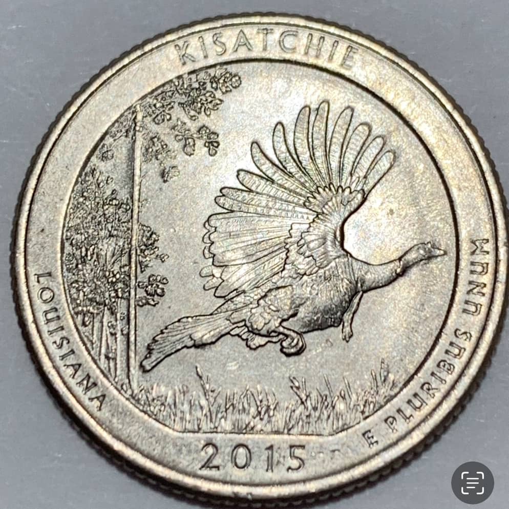 New-Error-2015-P-Quarter?