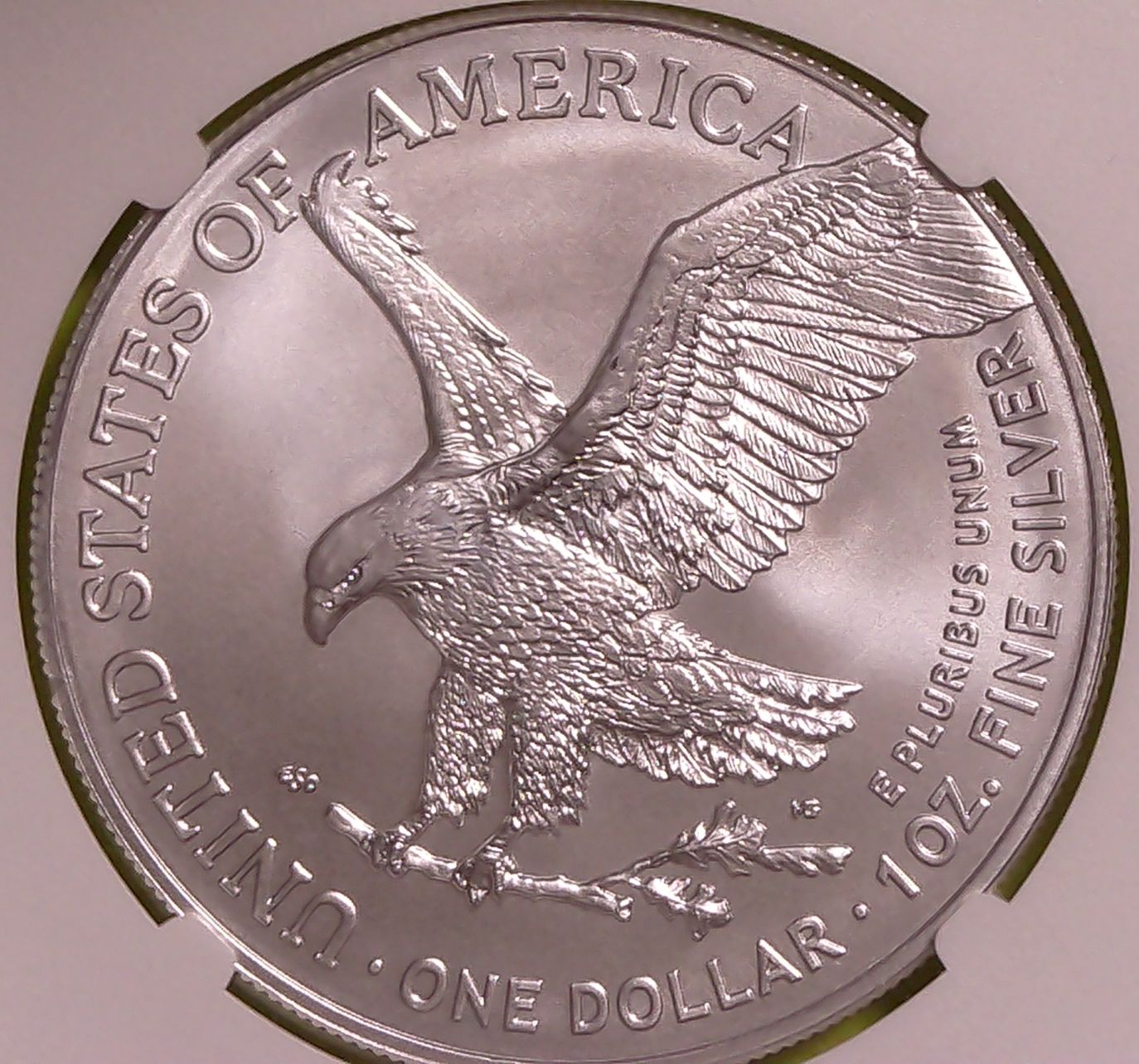 2025-Silver-Eagle-Wing
