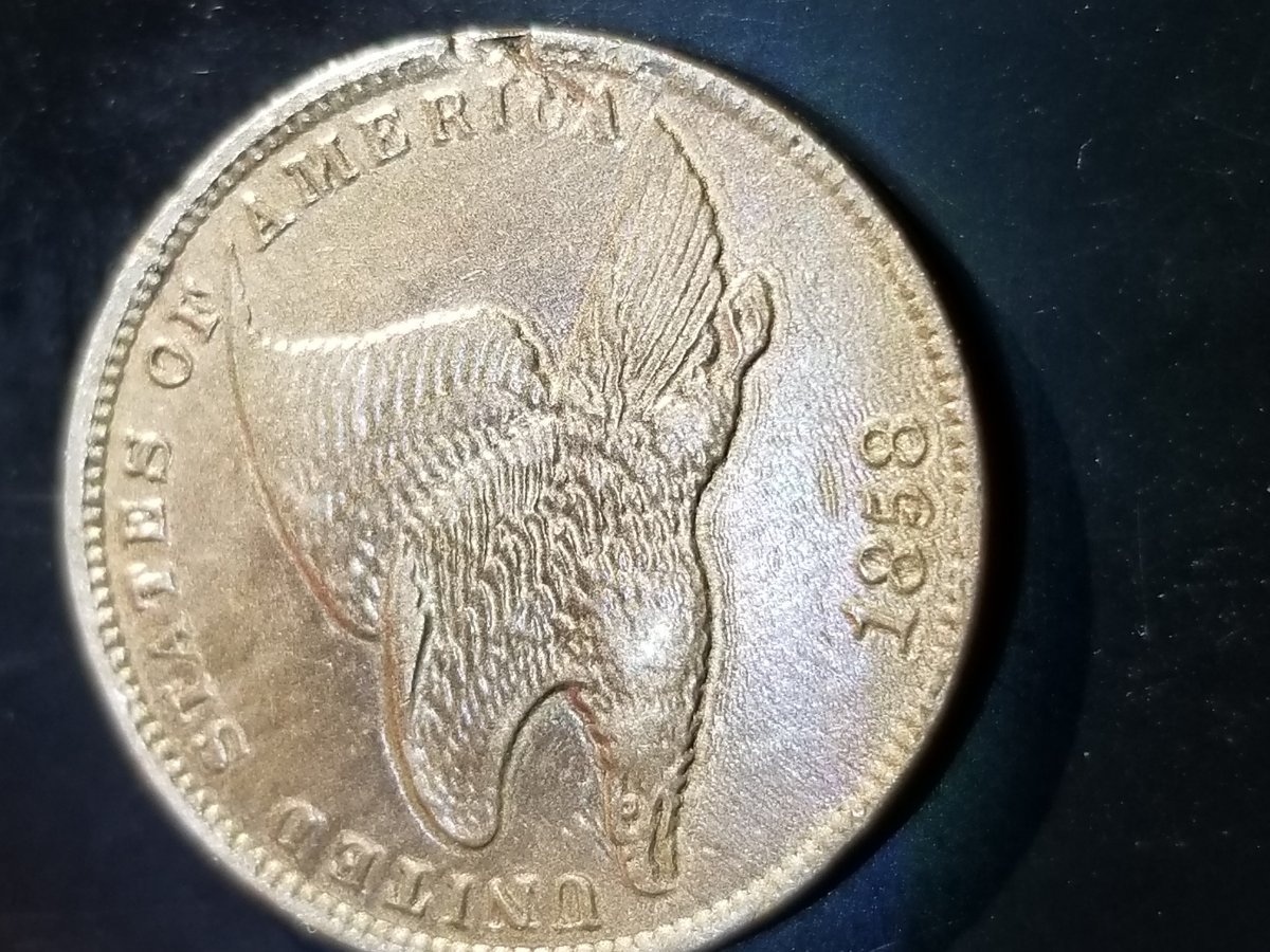 1858-Flying-Eagle-Cent-DDO?-DDR?-Dso?
