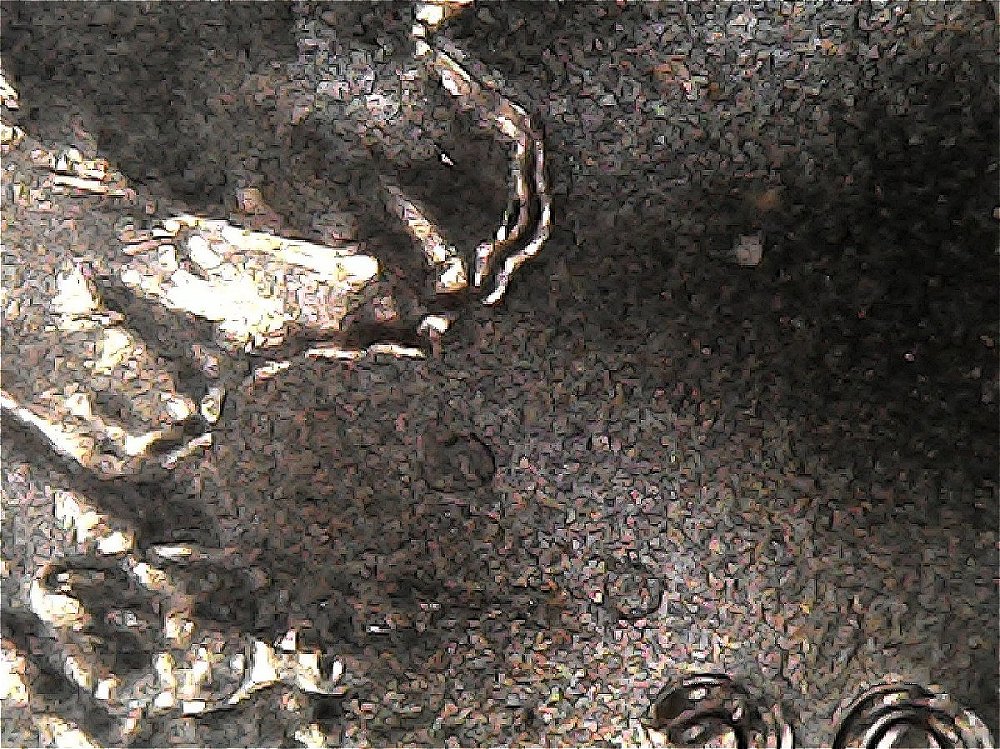 2017-D-Shield-Cent-Opinions-On-This!