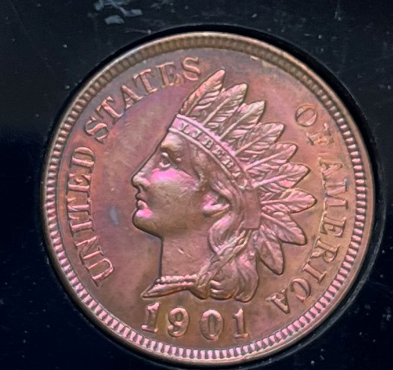 1901-Indian-Head-Penny-Toned-For-Grading