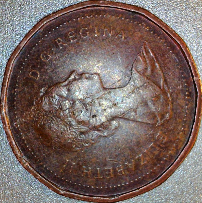 1983-Canadean-Penny-Struck--Error.-Please,-What-You-Think.