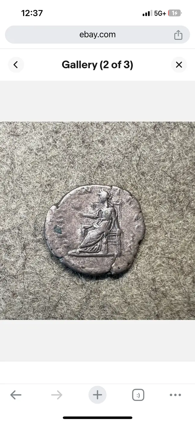 Pertinax-Opinions?-I--Like-The-Raw-One