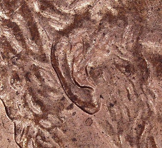 Double-Die-Vs-Mechanical-And-A-Thank-You-Lincoln-Cents