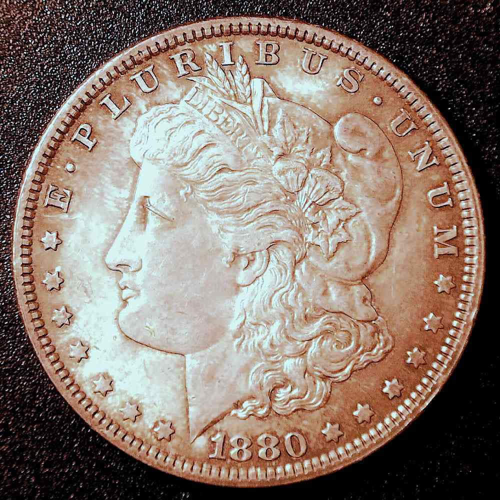 1880-Morgan-Dollar-For-Grading