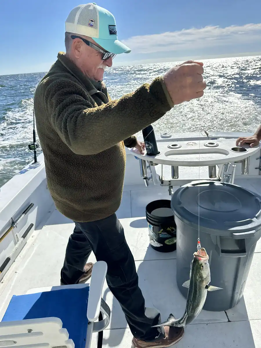 Going-Fishing---Checking-In-On-Occassion