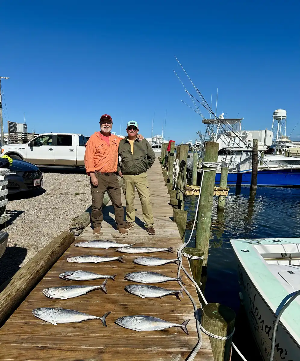 Going-Fishing---Checking-In-On-Occassion