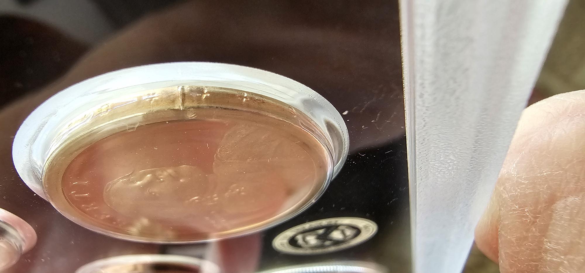 2024-Silver-Proof-Set-Sacagawea-Possible-Error