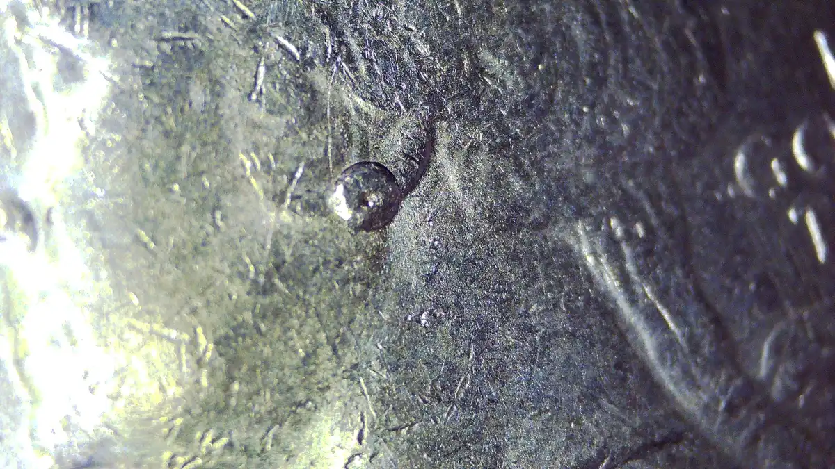 2019-P-Lowell-25-Cent-|-Earring?