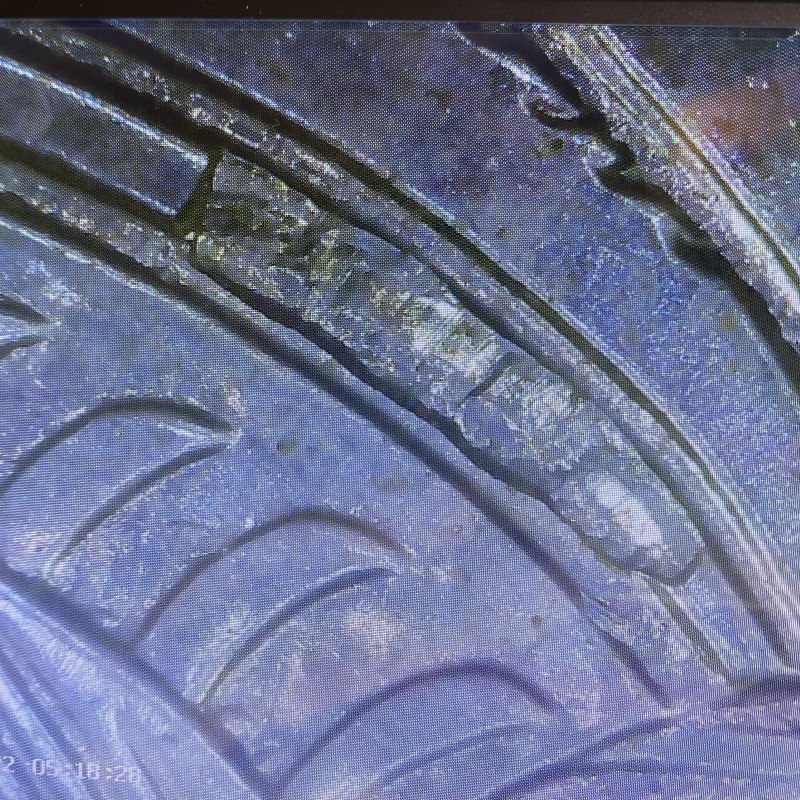 2010-10c-Might-Be-Tail-Cud?