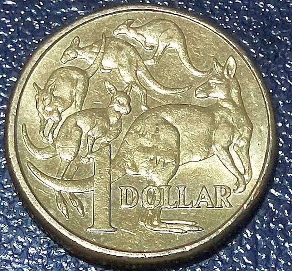 $1-Mob-Of-Roos---3RD-Roo-Missing-Right-Rear-Leg?