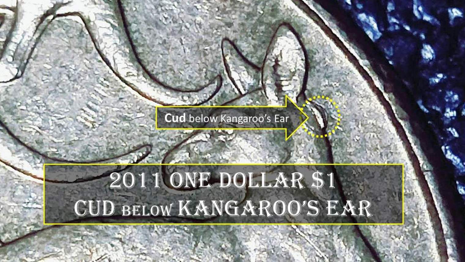2011-Mob-Of-Roos-$1-Cud