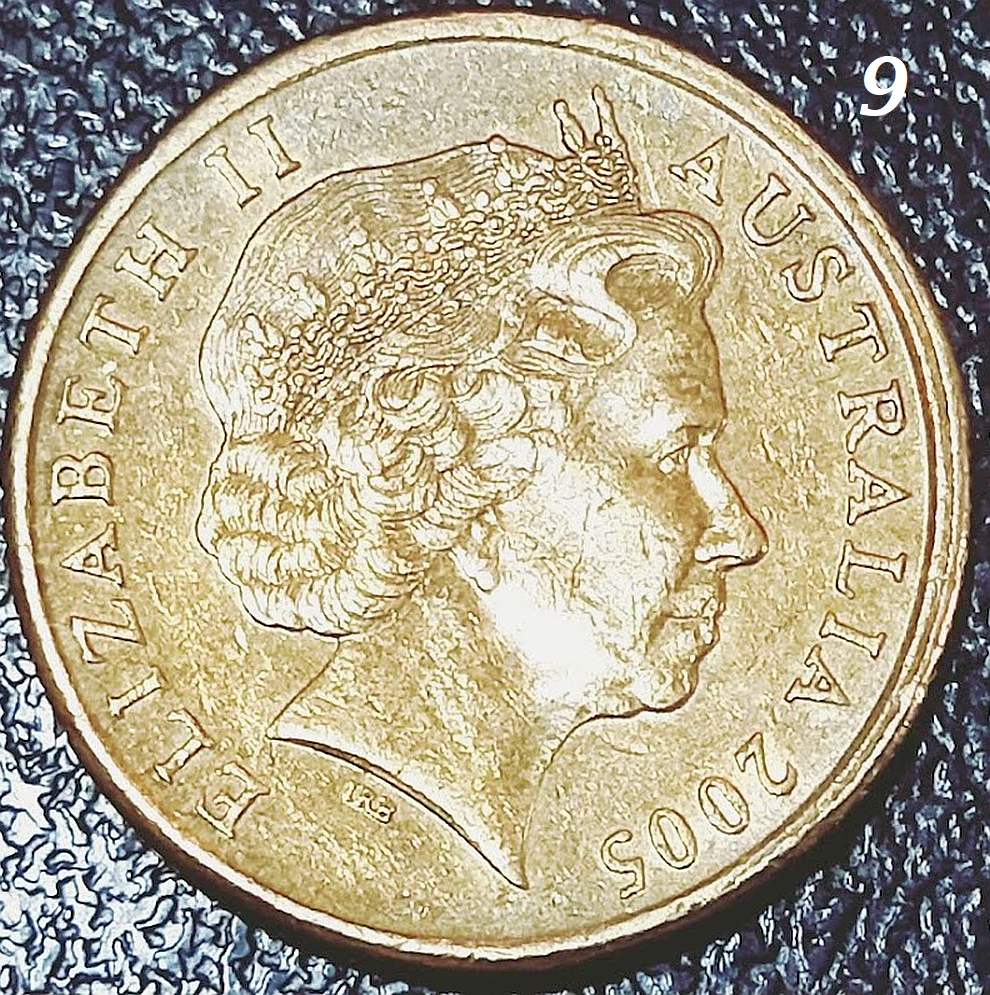 $1-Mob-Of-Roos---Double-Rim-Or-PMD?