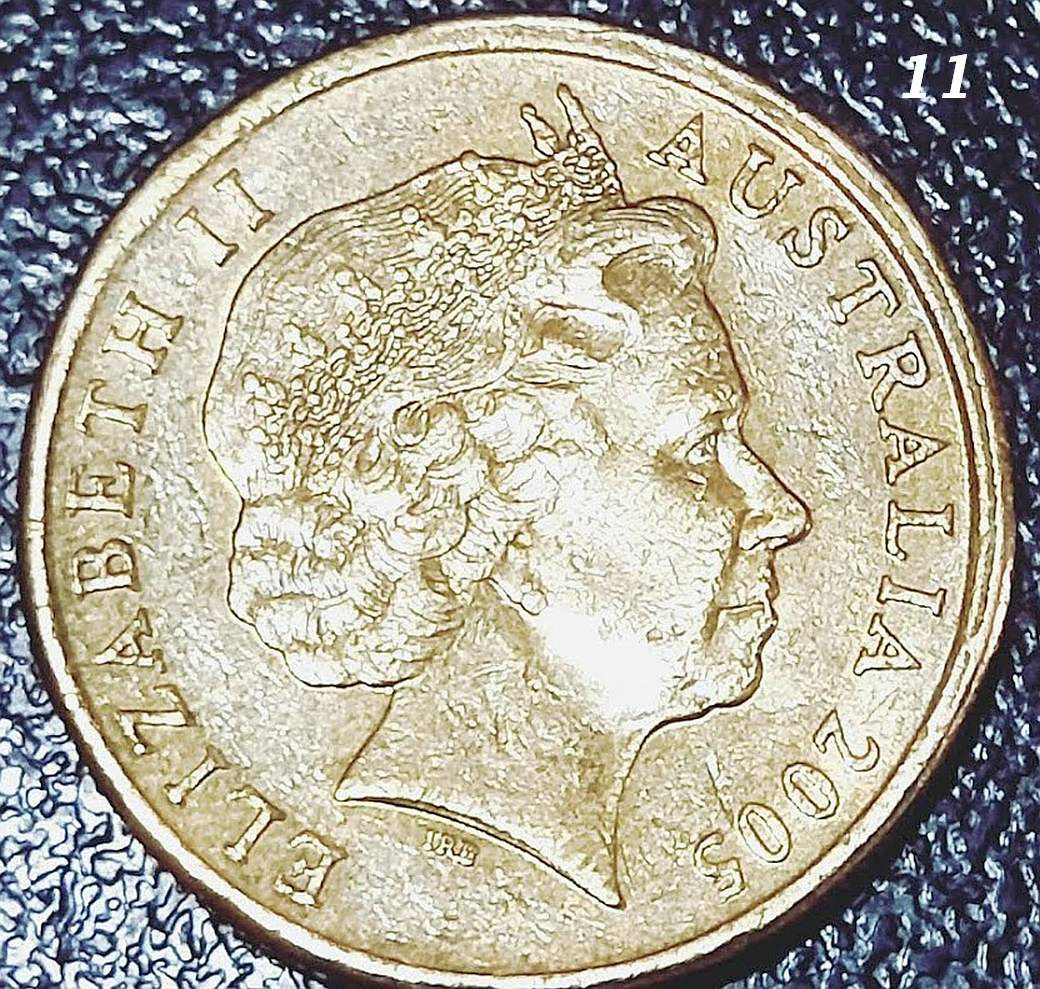 $1-Mob-Of-Roos---Double-Rim-Or-PMD?