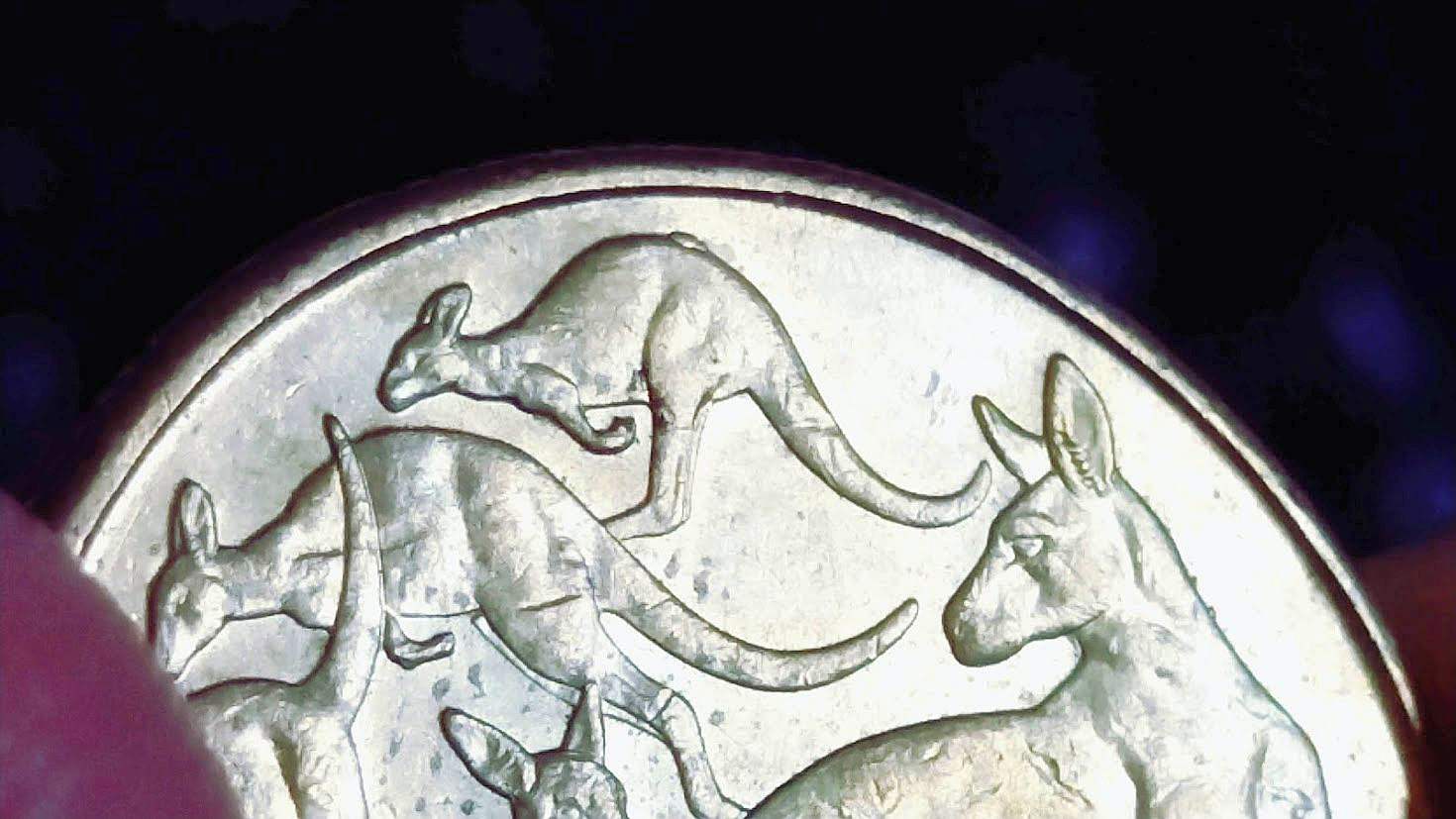 2019-$1-Coin-Mob-Of-Kangaroos-