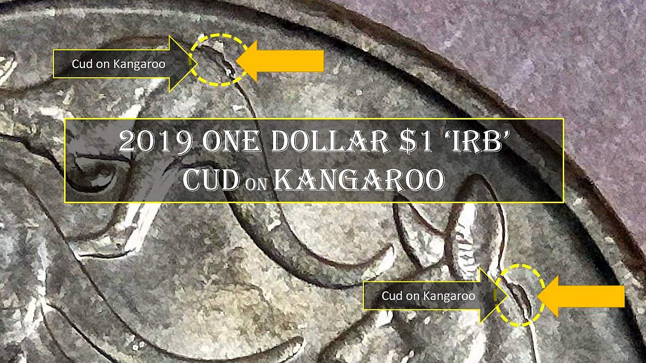 2019-$1-Coin-Mob-Of-Kangaroos-