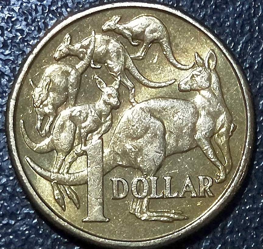 Australia-2015-$1-Mob-Of-Roos-Variety-Variations