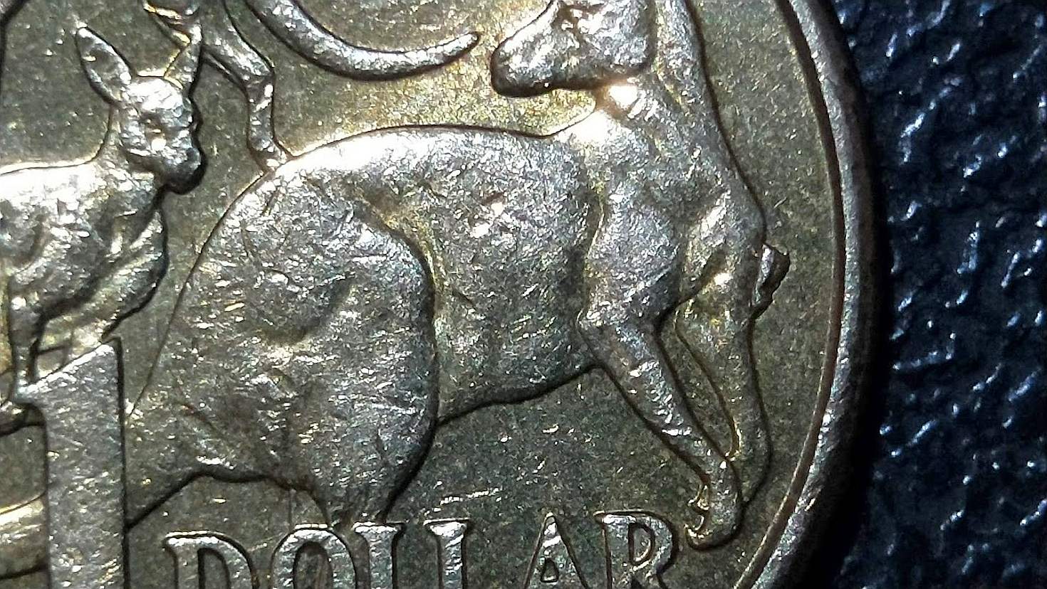 Australia-2015-$1-Mob-Of-Roos-Variety-Variations