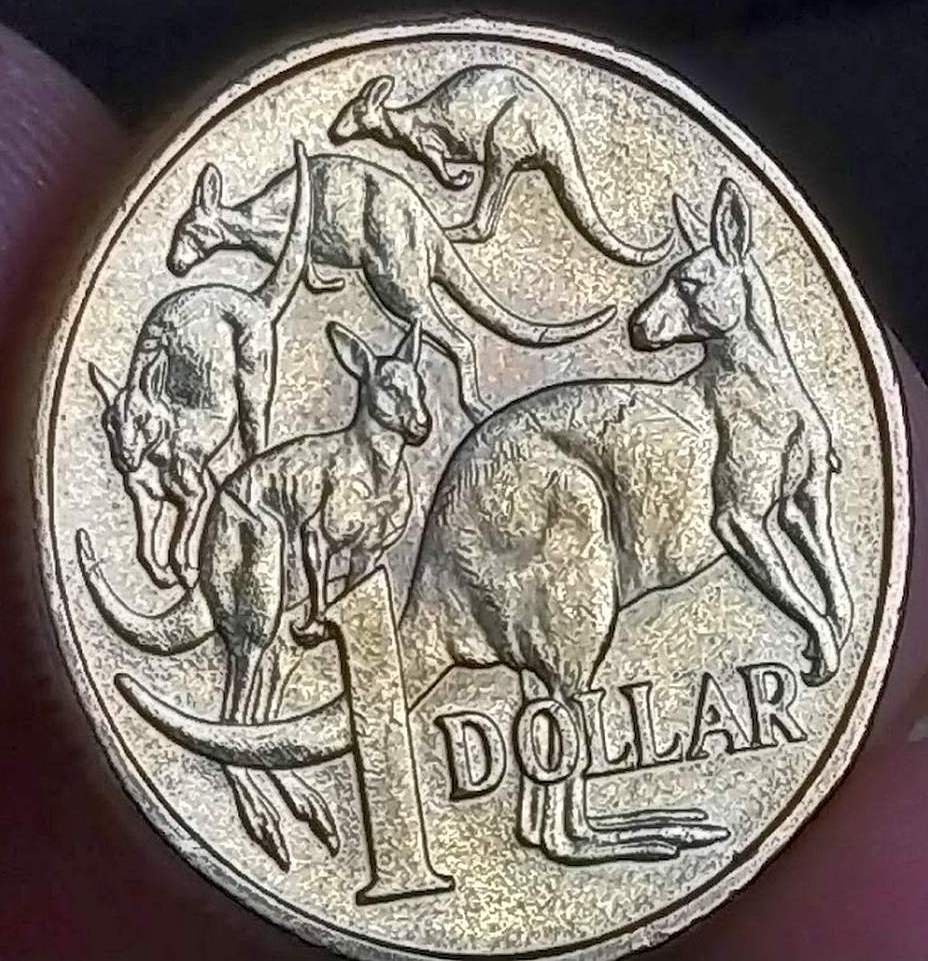 Australia-2022-$1-Mob-Of-Roo---Cud-On-Kangaroo-Variety