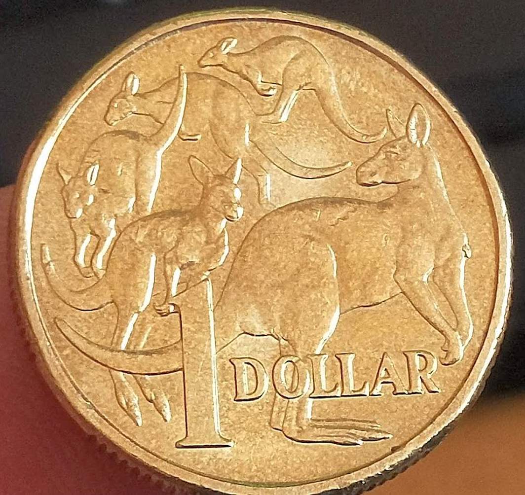 Australia-2022-$1-Mob-Of-Roo---Cud-On-Kangaroo-Variety