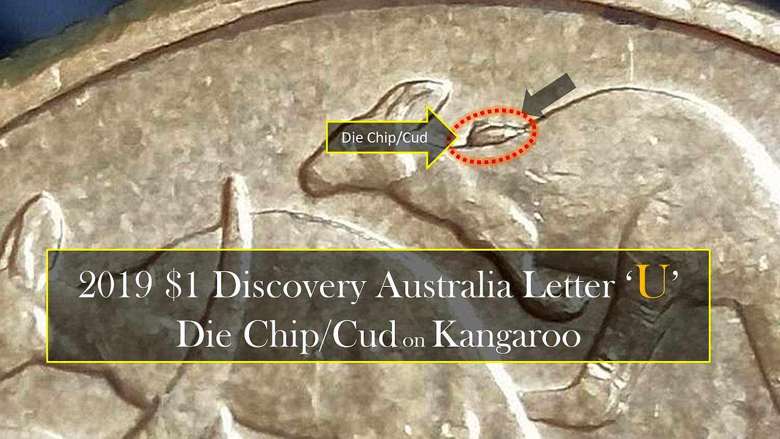 Australia-2019-Australia-Discovery-'U'-Mor-With-Die-Chip/Cud-On-1-St-Roo