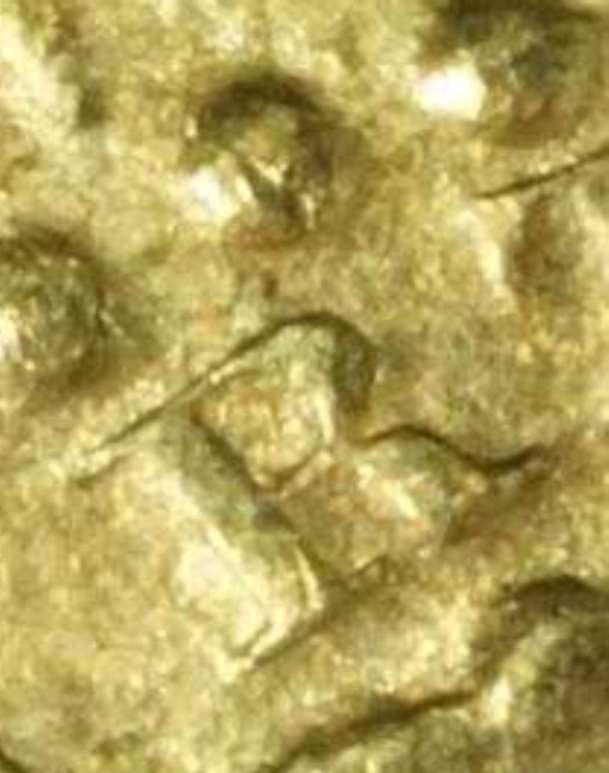 1882-Three-Dollar-Gold-#2-----Grading