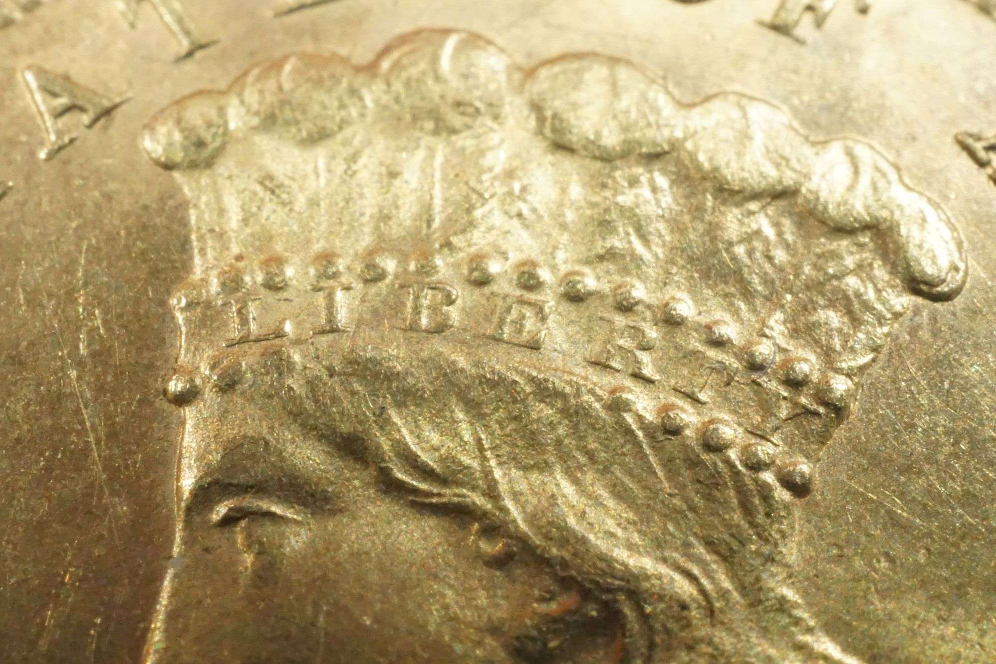 1882-Three-Dollar-Gold-#2-----Grading