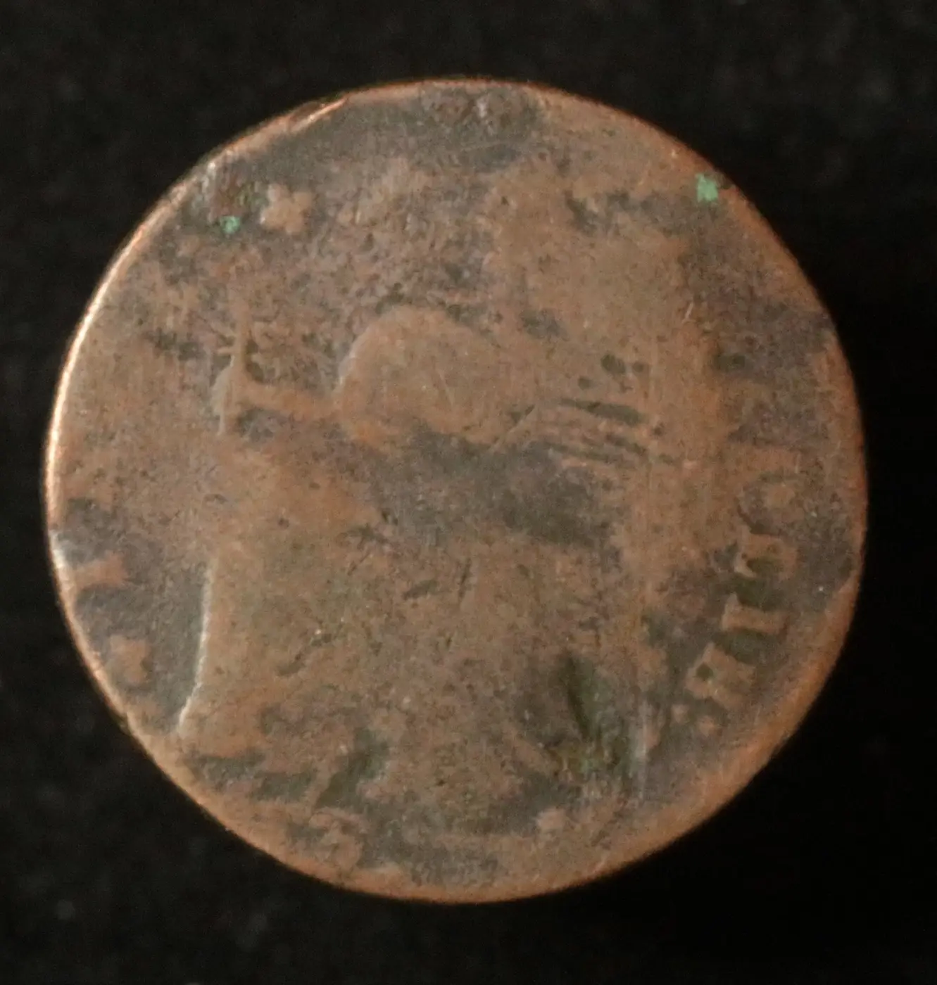 Connecticut-Copper-Variety?