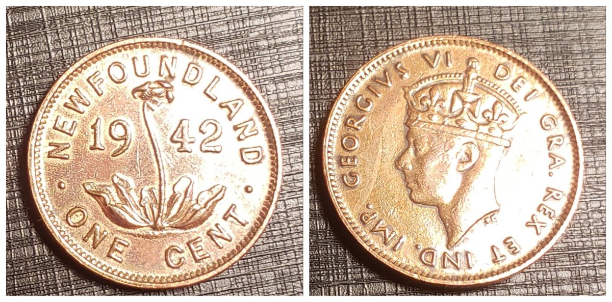 Are-These-Cleaned?-Need-Help-Grading-Please!!!