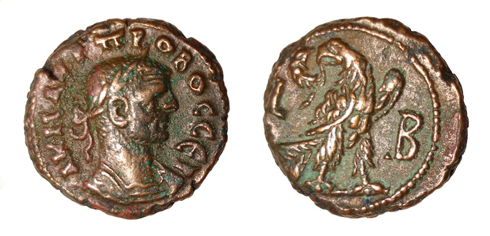 My-First-Animal-On-A-Coin.