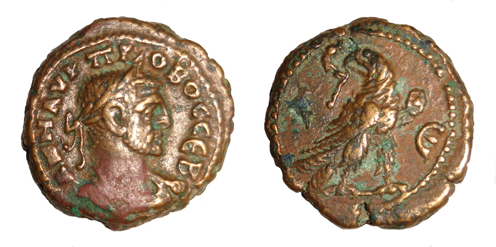 My-First-Animal-On-A-Coin.
