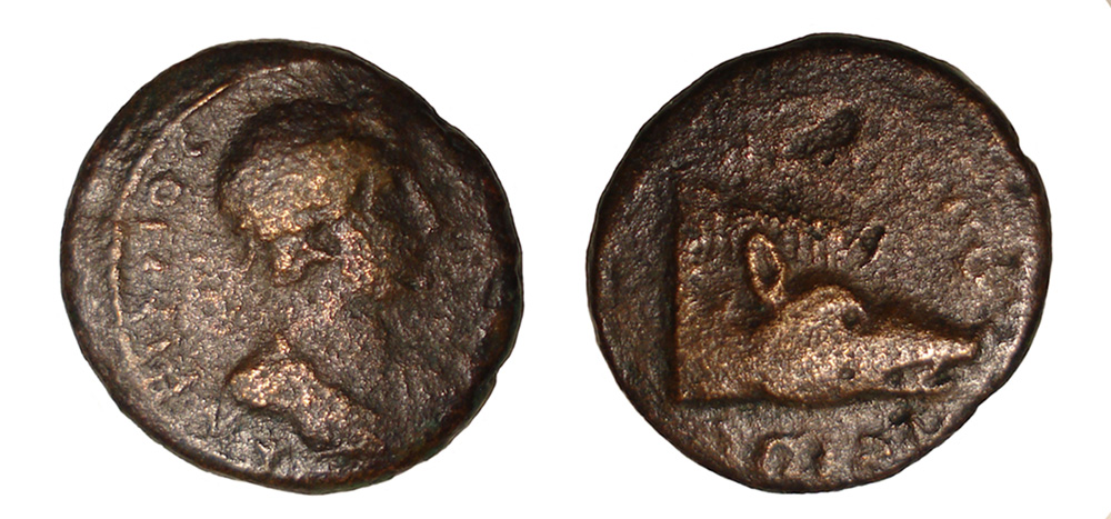 My-First-Animal-On-A-Coin.