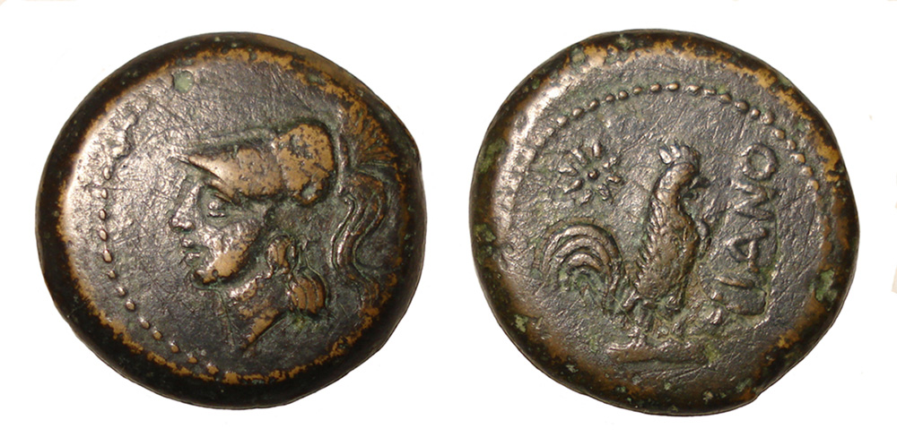 My-First-Animal-On-A-Coin.