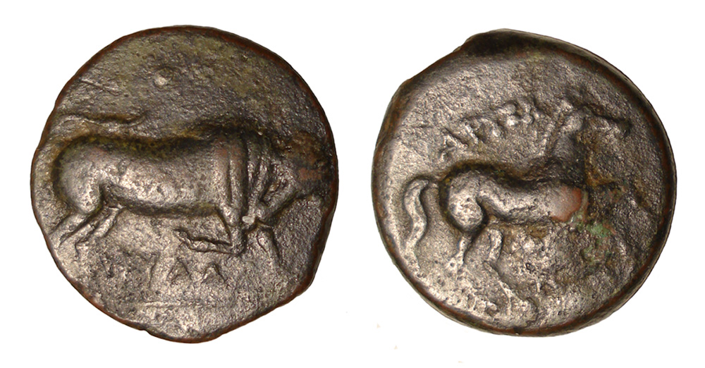 My-First-Animal-On-A-Coin.