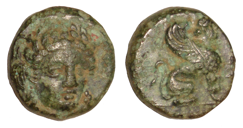 My-First-Animal-On-A-Coin.