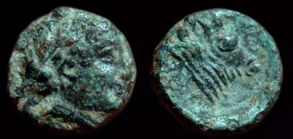 My-First-Animal-On-A-Coin.